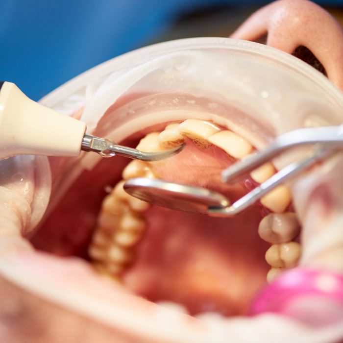 Jamie O'Donnell Jamie O'Donnell